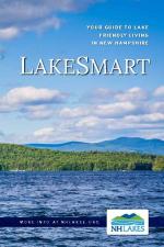 LakeSmart Book