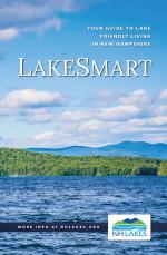 LakeSmart Book Download (2021)