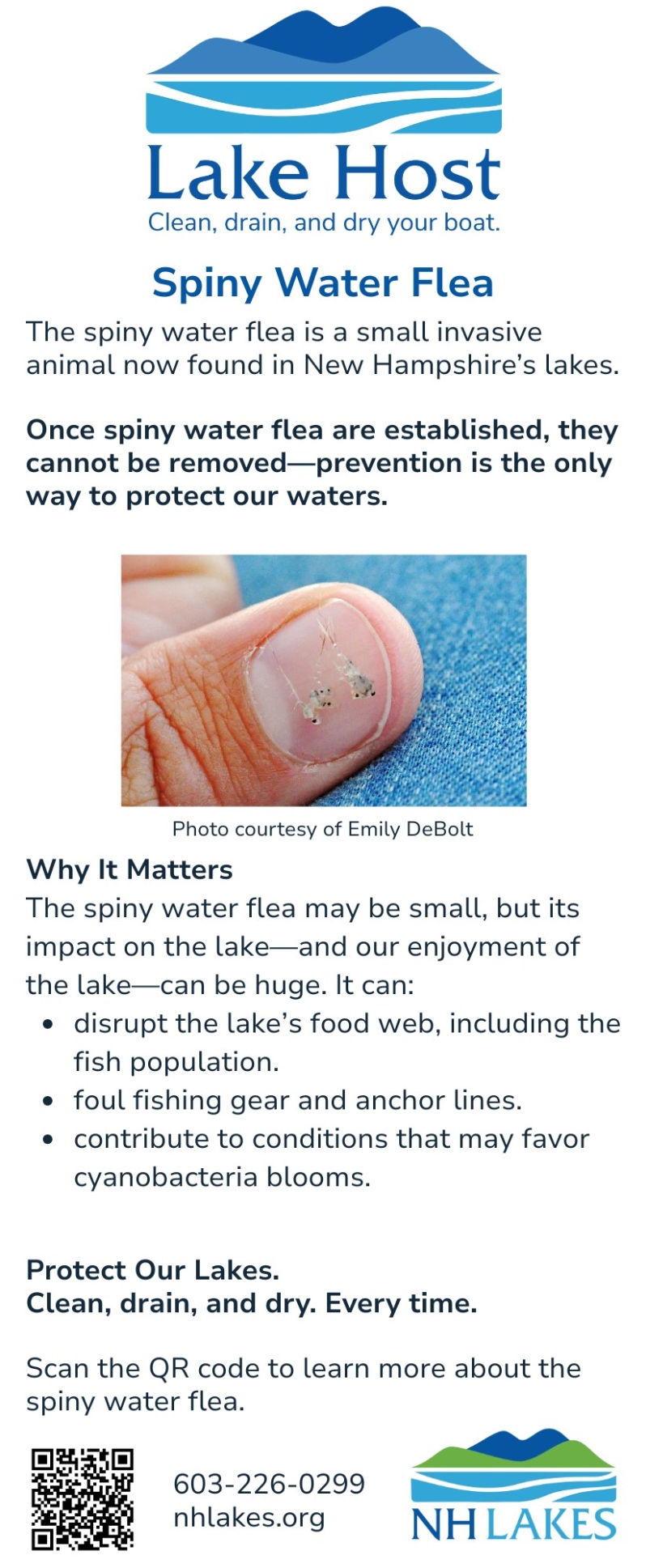 Spiny Water Flea Handout