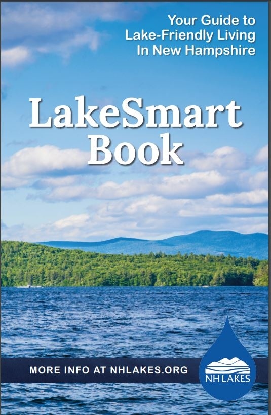 LakeSmart Book Download (2025)